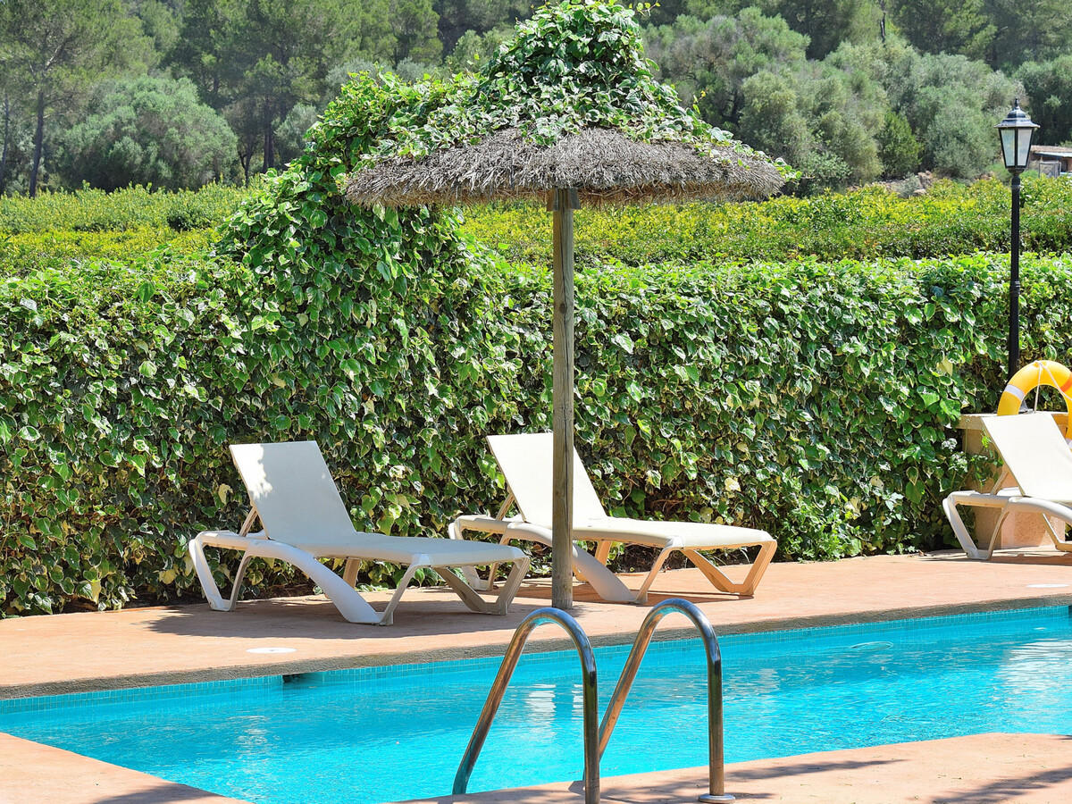 Villa Capitana - Piscine 16x4m, clim, orangeraie à Ariany - Photo 5