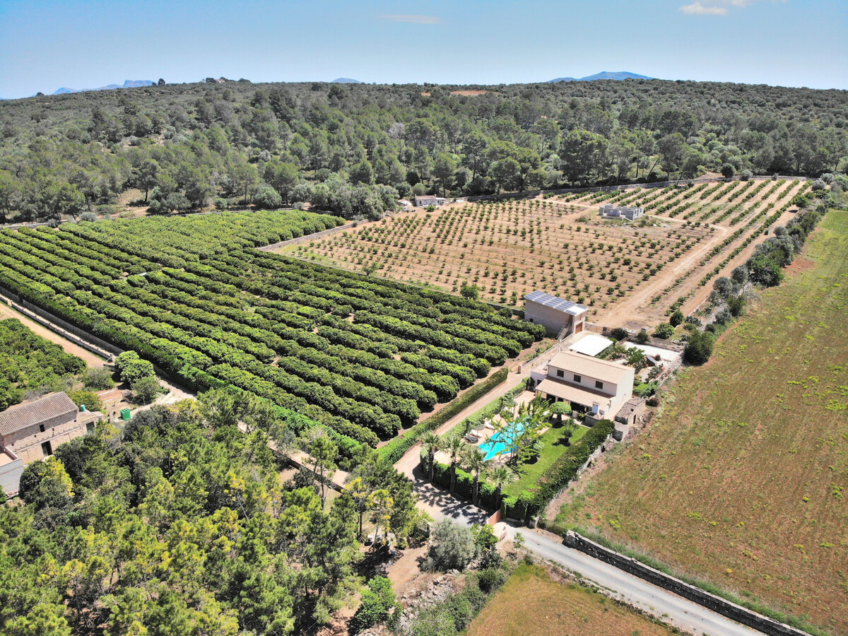 Villa Capitana - Piscine 16x4m, clim, orangeraie à Ariany - Photo 29