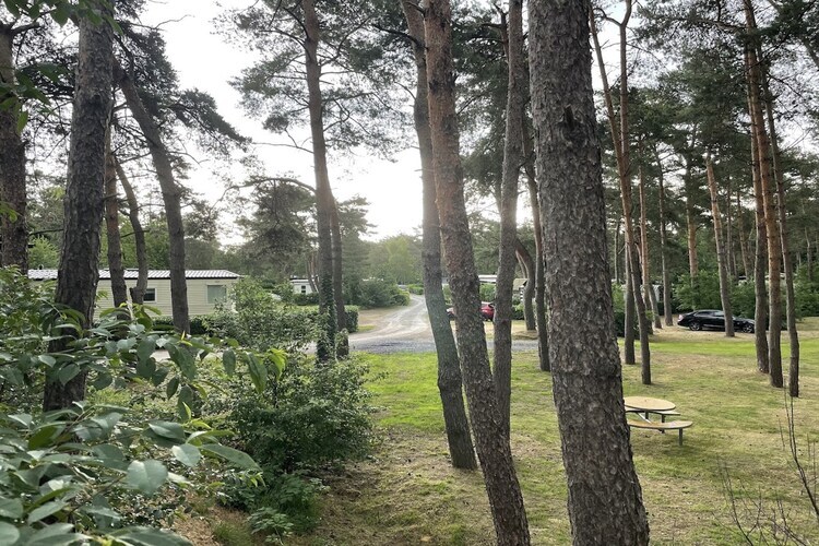 L'Écureuil - Chalet 6 pers. à Balen avec piscine - Photo 21