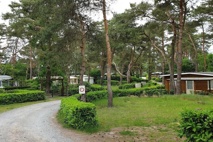 L'Écureuil - Chalet 6 pers. à Balen avec piscine - Photo 22