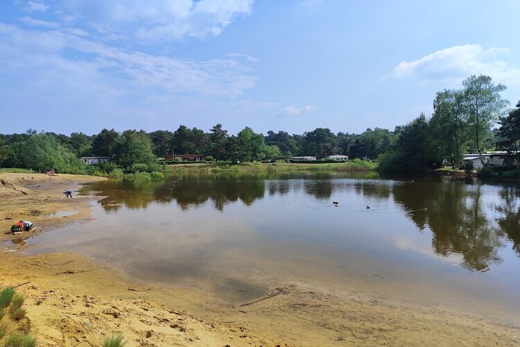 L'Écureuil - Chalet 6 pers. à Balen avec piscine - Photo 23