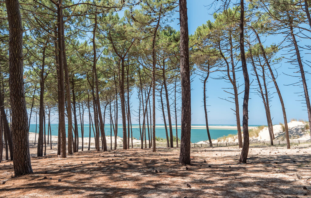 Maison 200 m² avec piscine privée à Arcachon - Photo 9