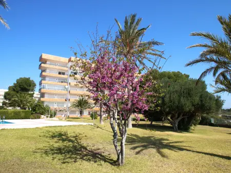 Appartement 6 pers. vue mer et montagne à 50m de plage : photo 12