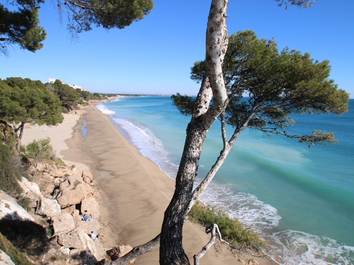 Appartement 5 pers. à 50m de la plage - Miami Platja - Photo 17