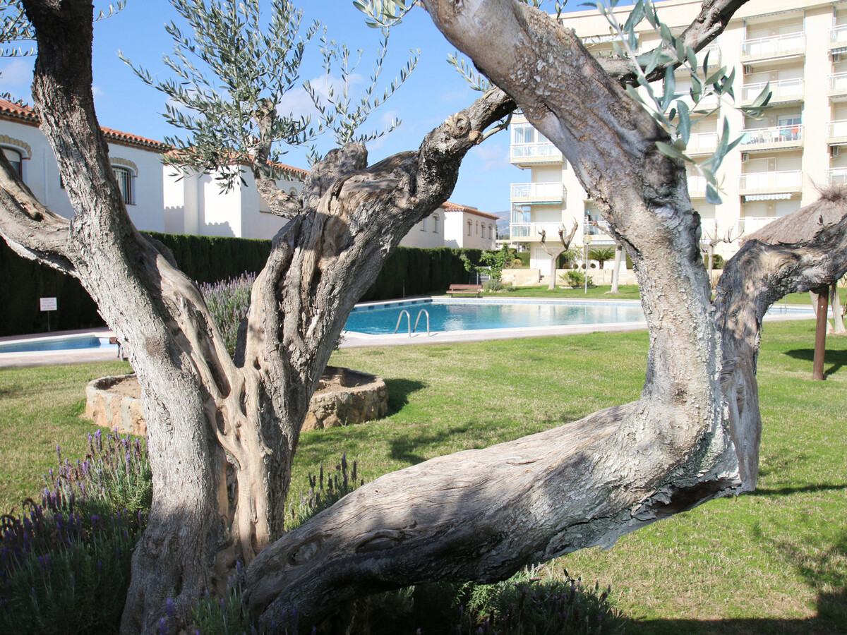 Appartement 2 chambres à 500m de Playa Cristal - Photo 19