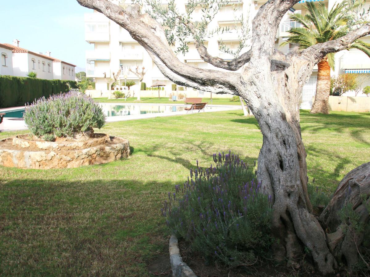 Appartement 2 chambres à 500m de Playa Cristal - Photo 23