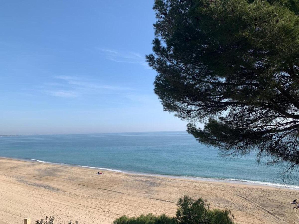 Appartement vue mer première ligne, Miami Platja - Photo 6