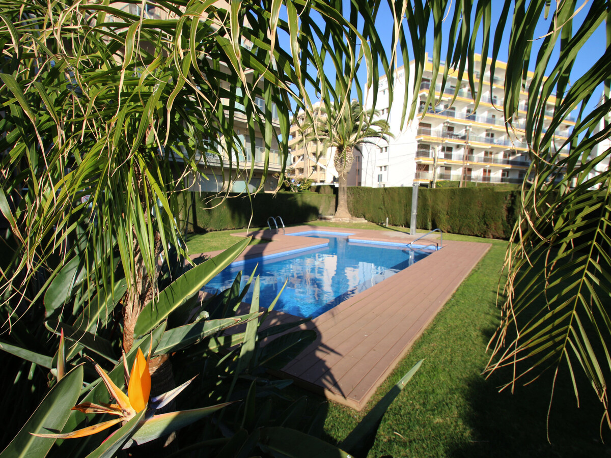 Appartement Panoramic Miami Plaja, 2 ch., terrasse 49 m² - Photo 20