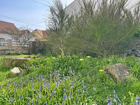 Maison La Rose des Pins à 200 m de la plage, jardin 500 m² : photo 31