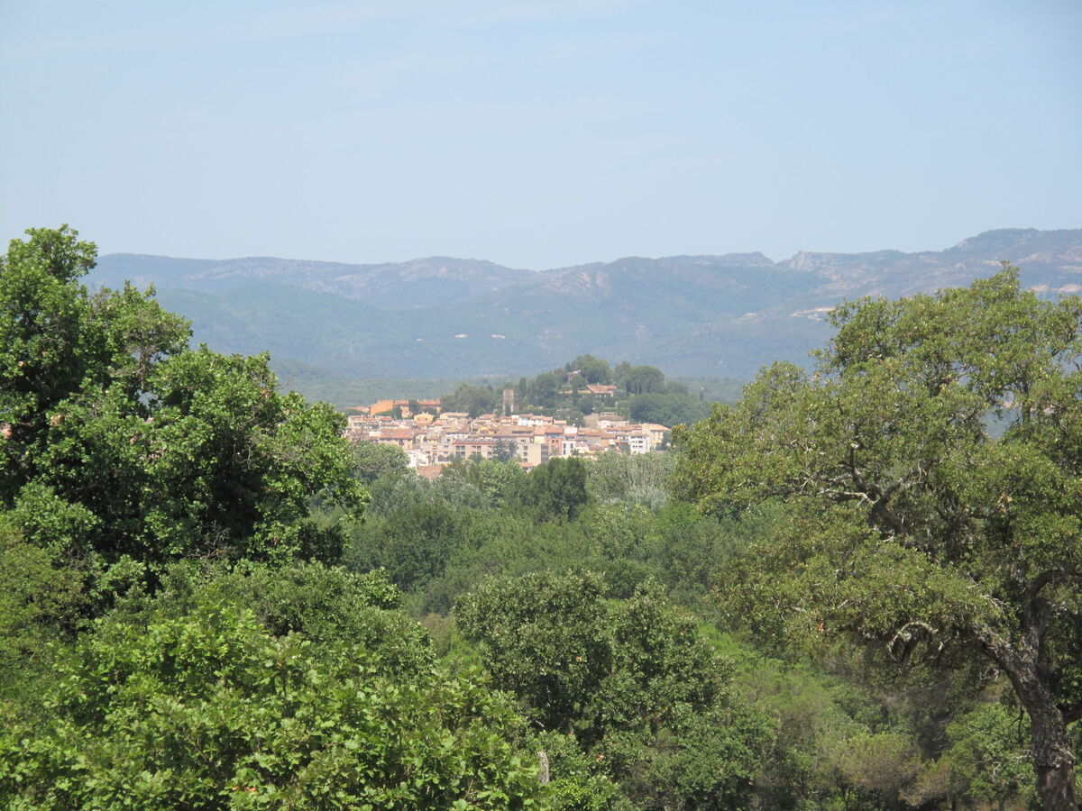 Maison 2 pièces avec piscine à Cogolin - Photo 23
