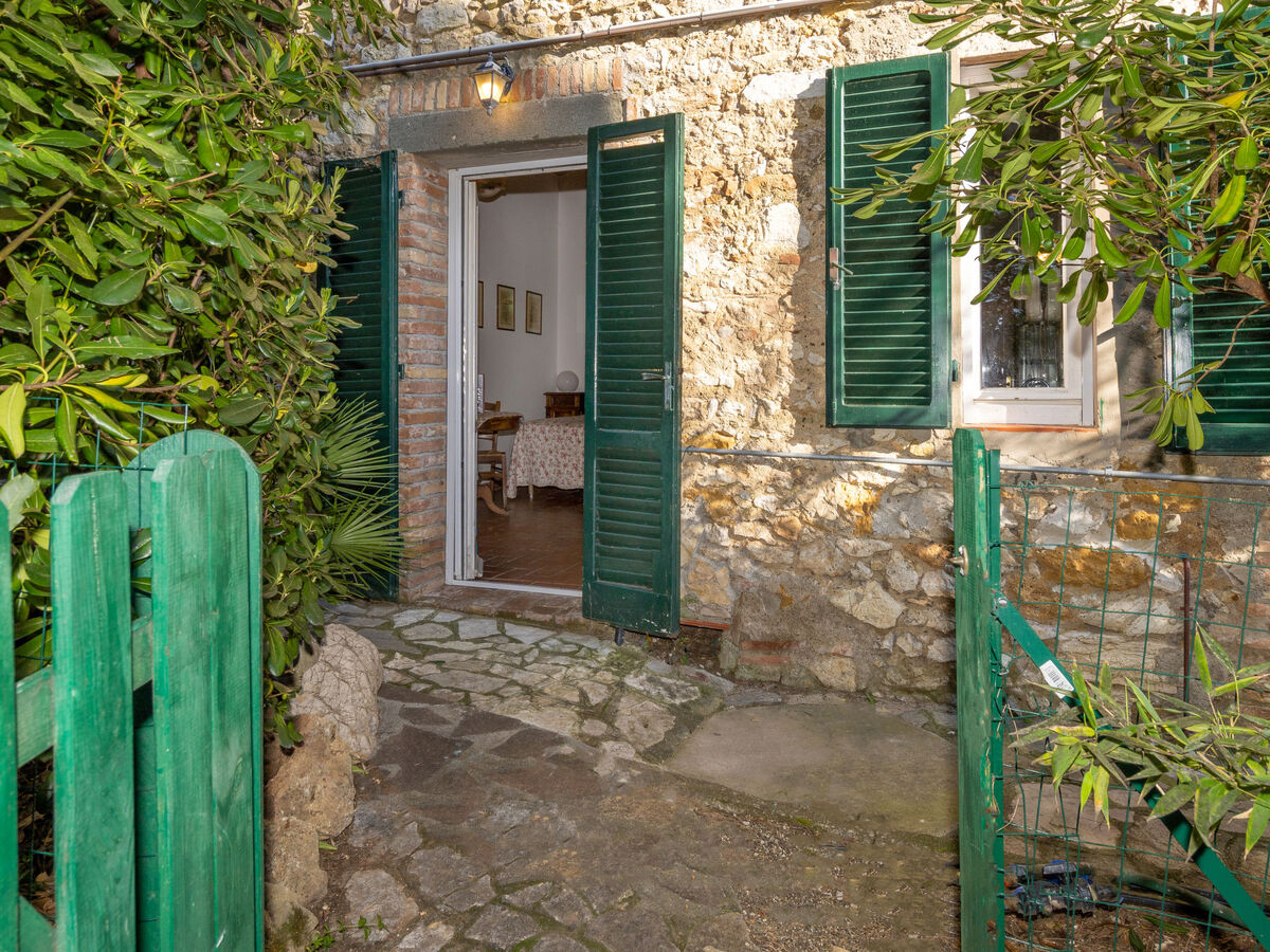 Terrazzina – Studio 30m² à Rosignano Marittimo - Photo 3