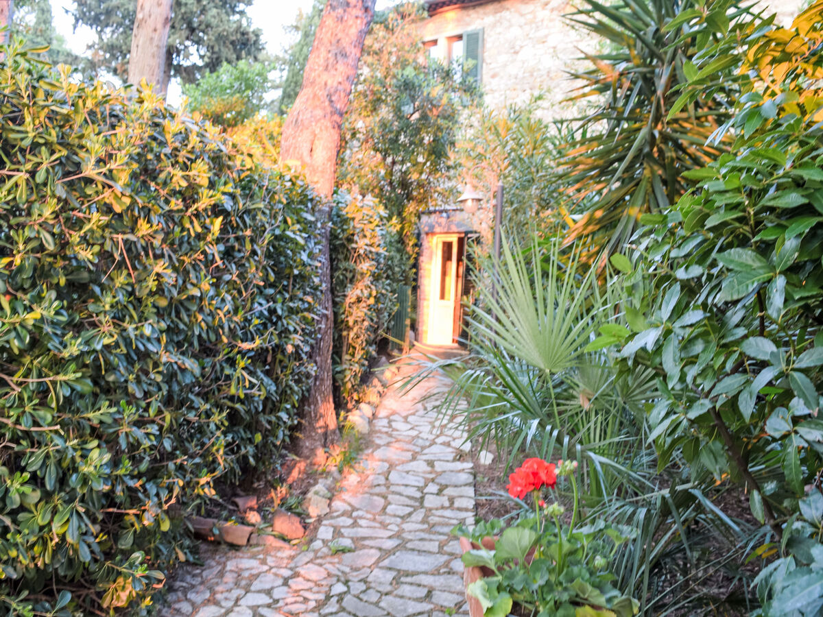 Terrazzina – Studio 30m² à Rosignano Marittimo - Photo 18