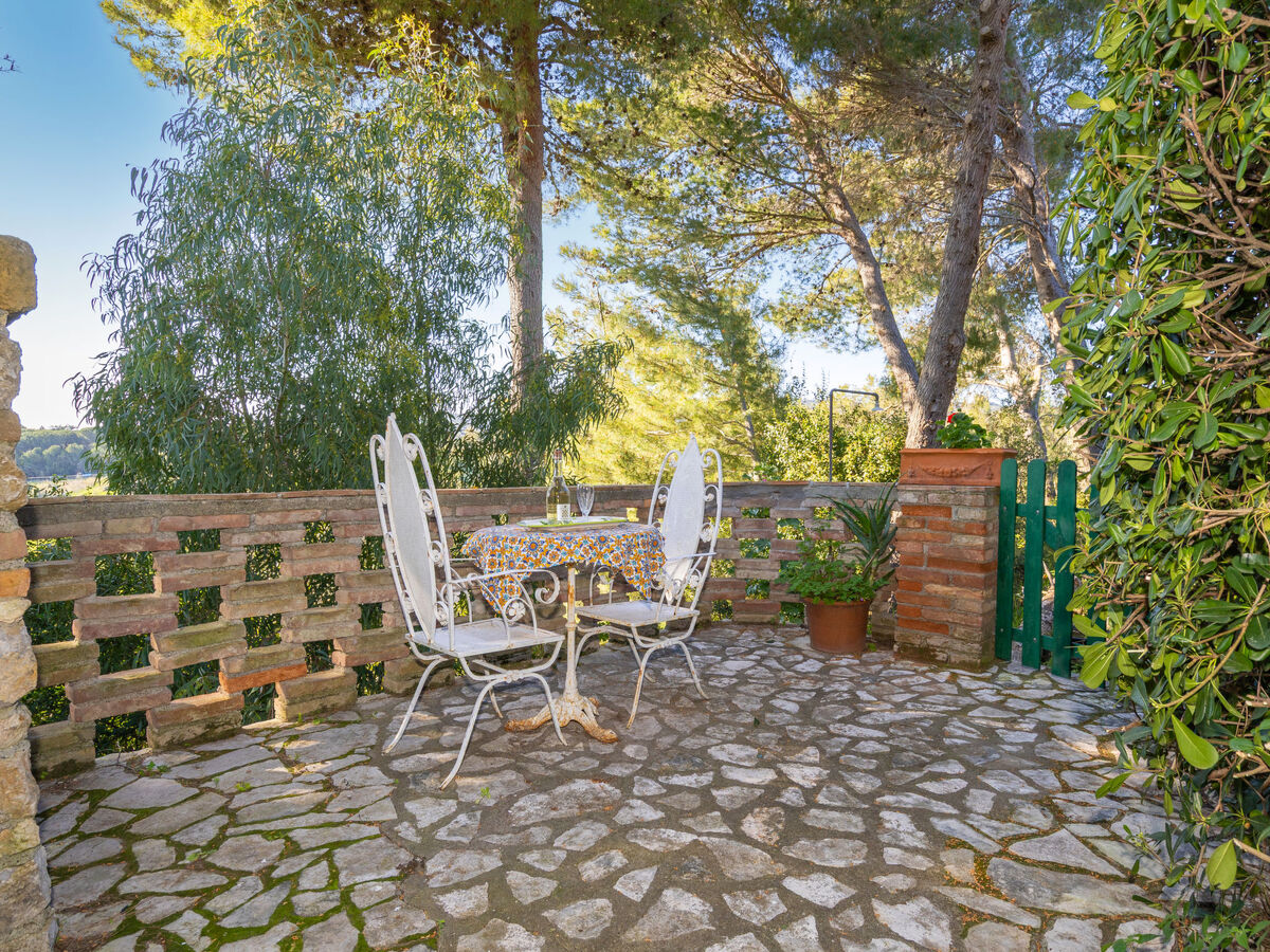 Terrazzina – Studio 30m² à Rosignano Marittimo - Photo 19