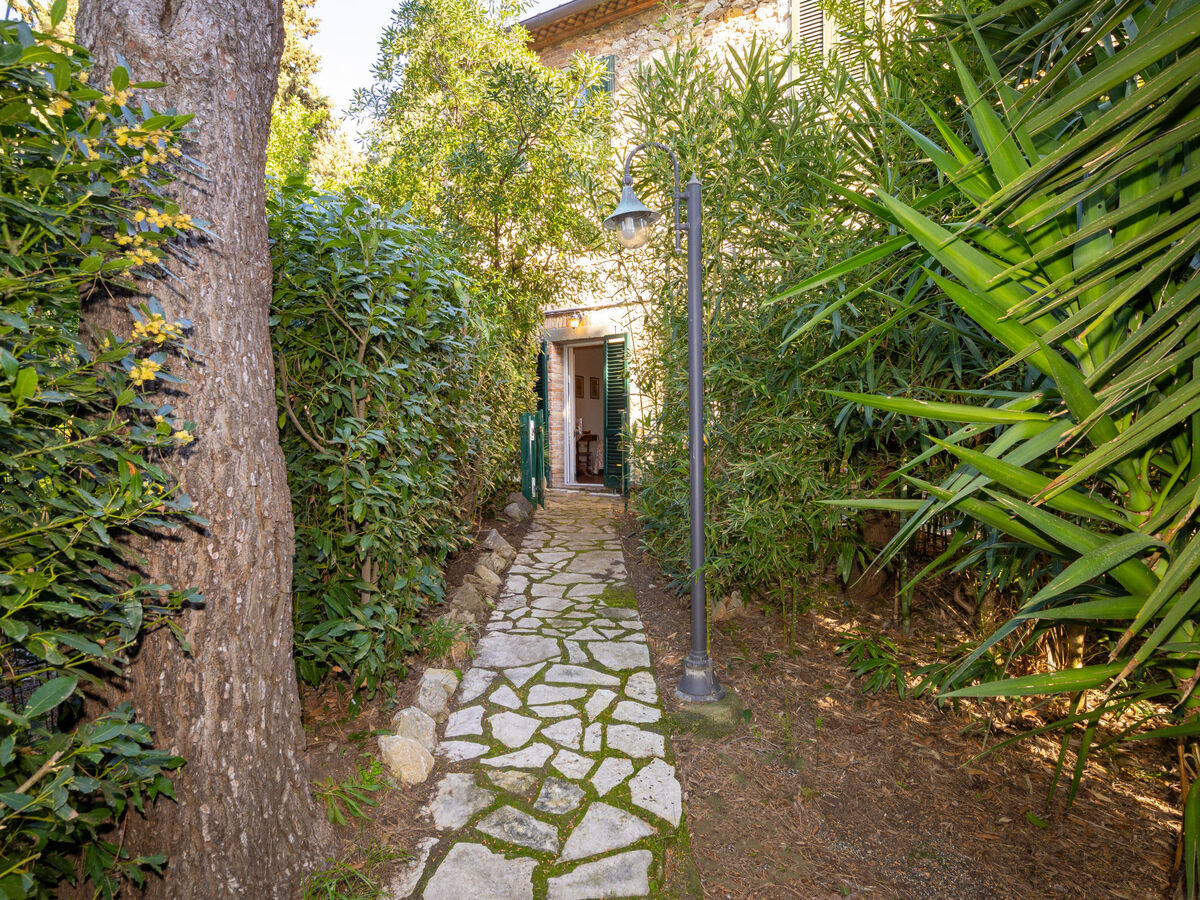 Terrazzina – Studio 30m² à Rosignano Marittimo - Photo 23