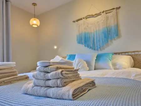 Maison de luxe à Riemst avec jacuzzi, sauna et jardin privé : photo 32