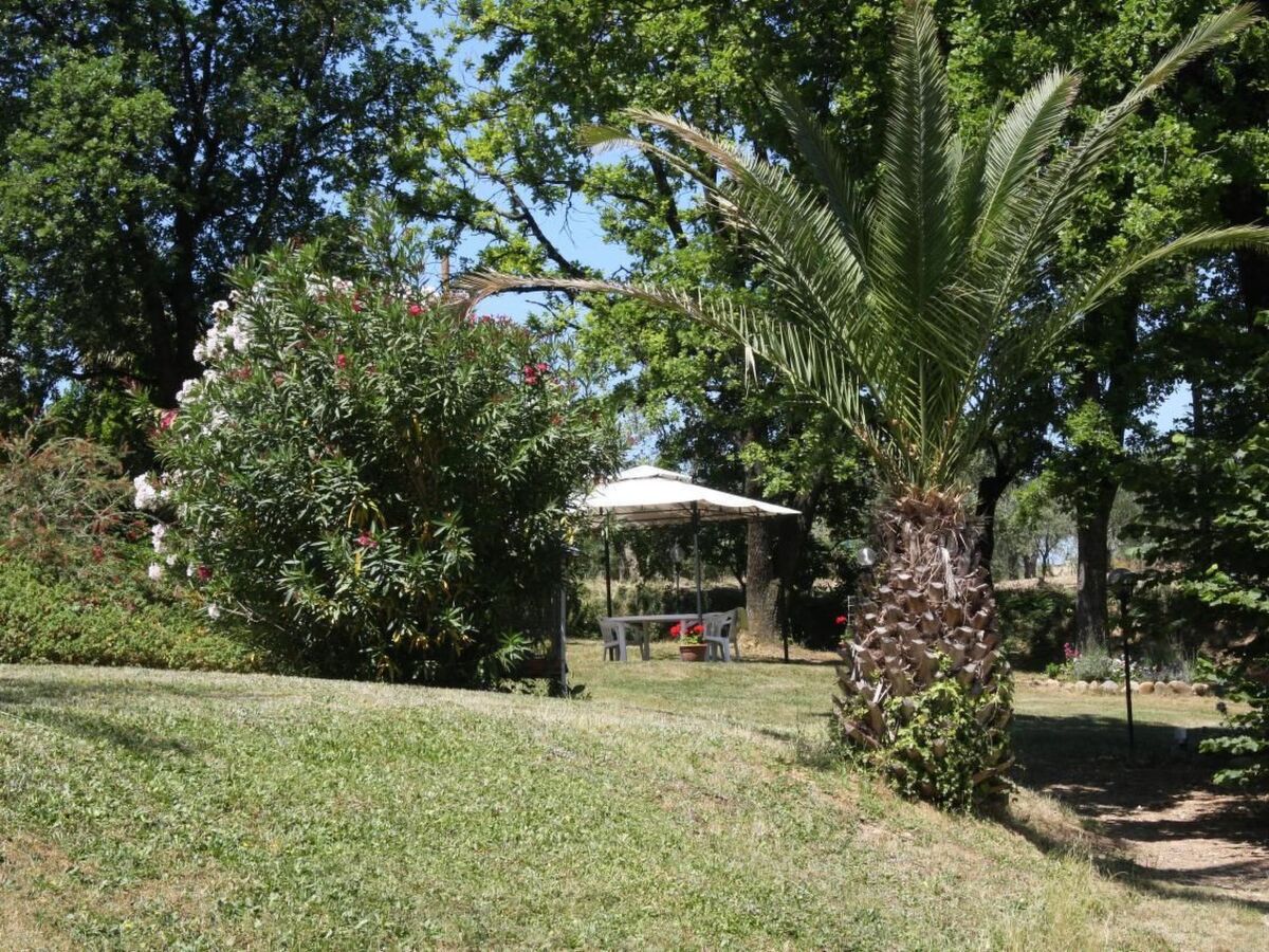 Maison indépendante Montecarlo, jardin 1000m² et barbecue - Photo 18