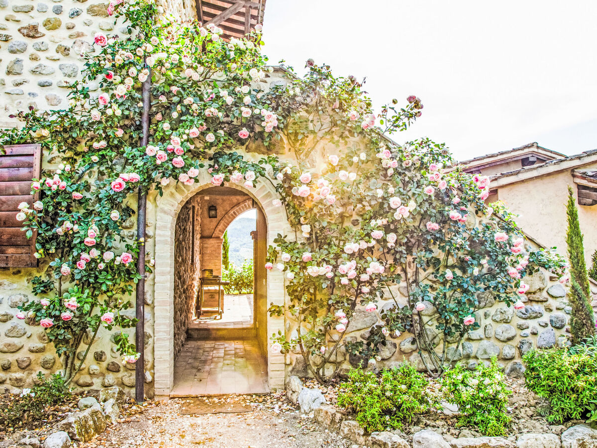 Agriturismo Belvedere delle Crete – 16 pers, piscine - Photo 35