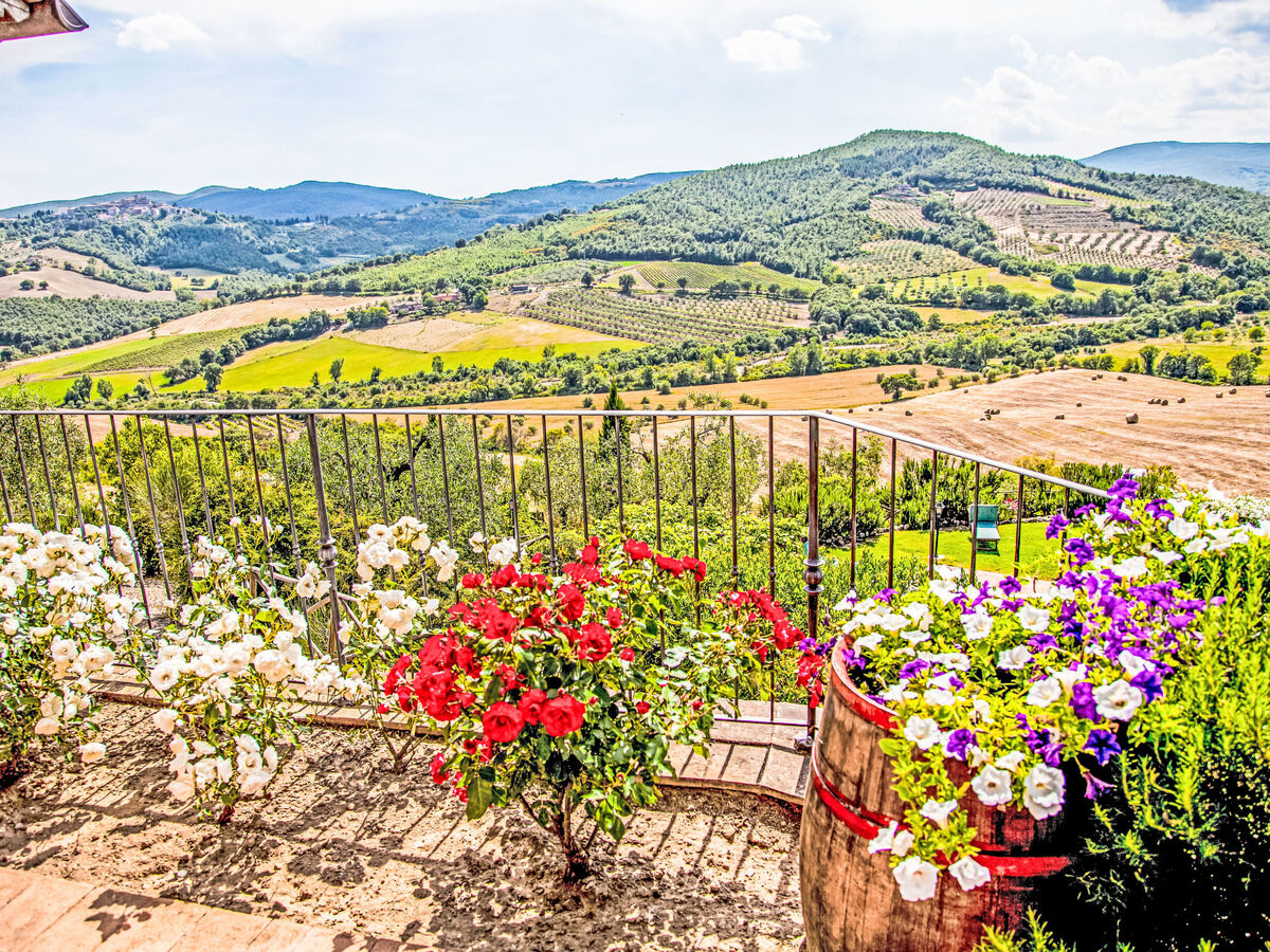 Agriturismo Belvedere delle Crete – 16 pers, piscine - Photo 41