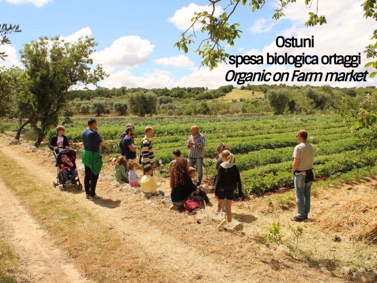 Masseria Ortensia, appartement colonial aux Pouilles - Photo 33