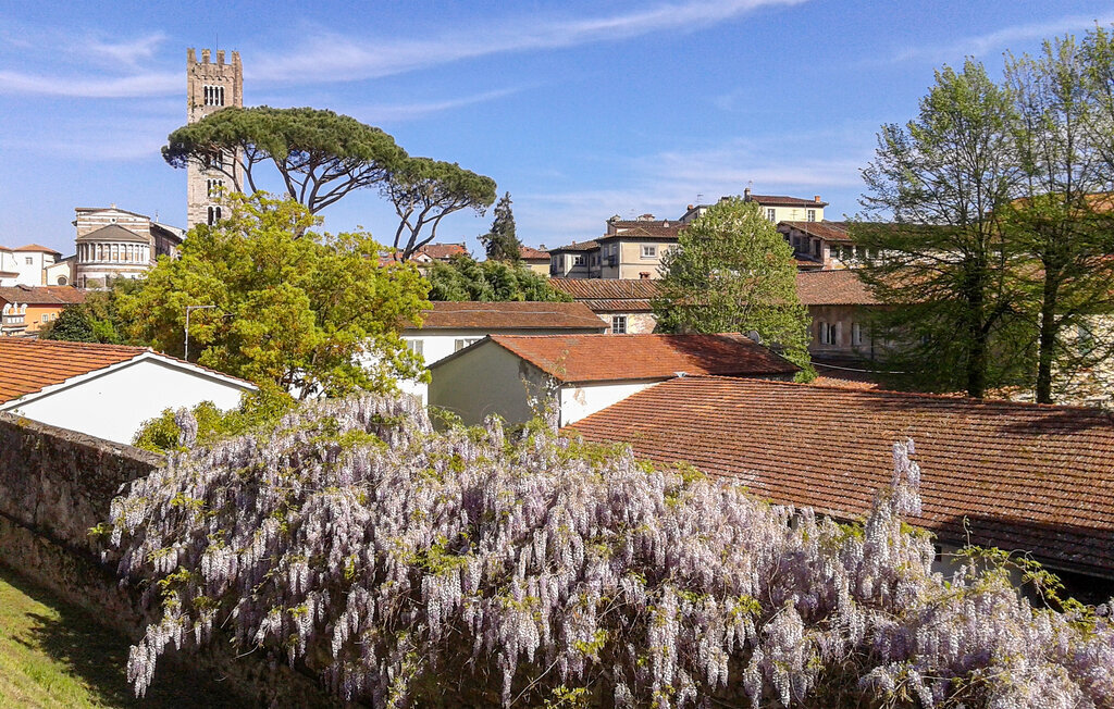 Casa in Borgo, Maison 4 personnes à Gioviano - Photo 15