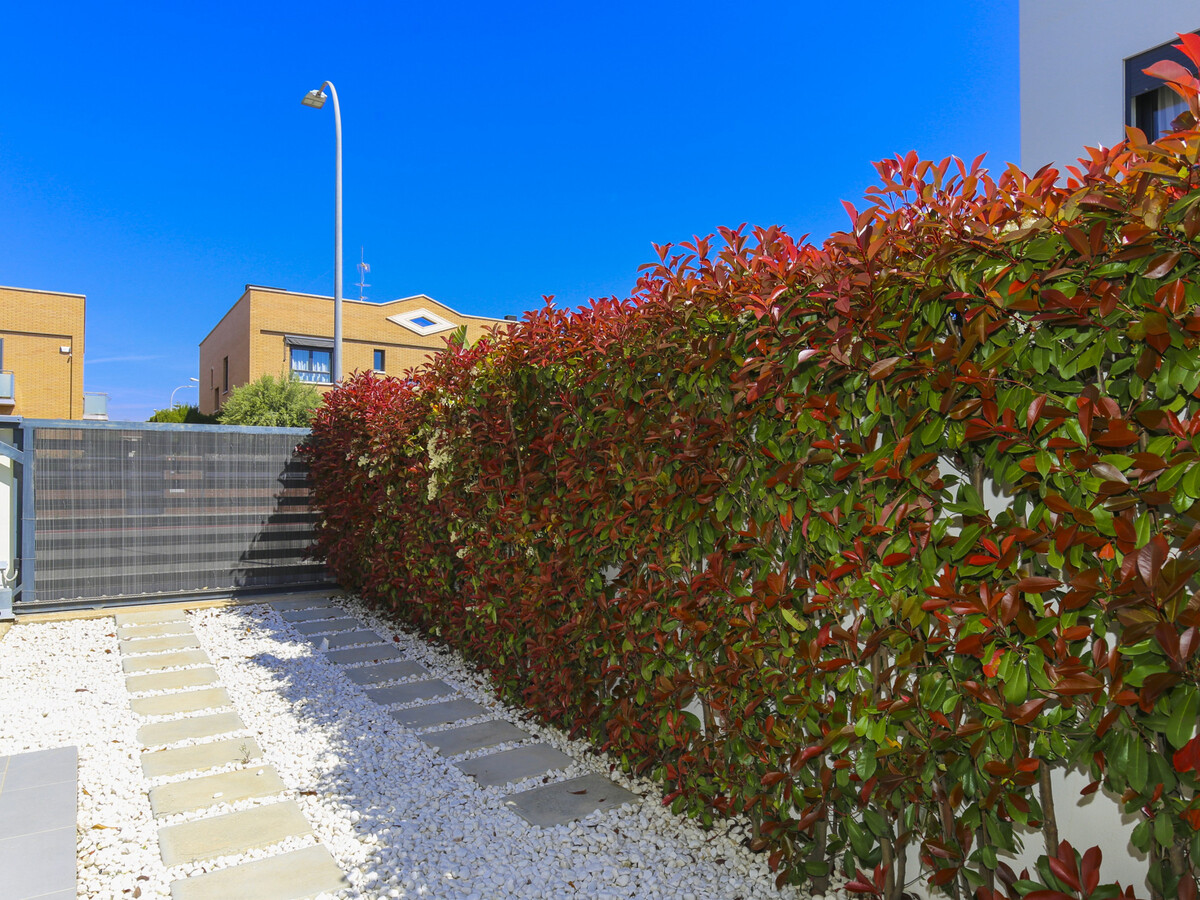 Villa Clanxet – 10 pers., piscine privée à Cambrils - Photo 31