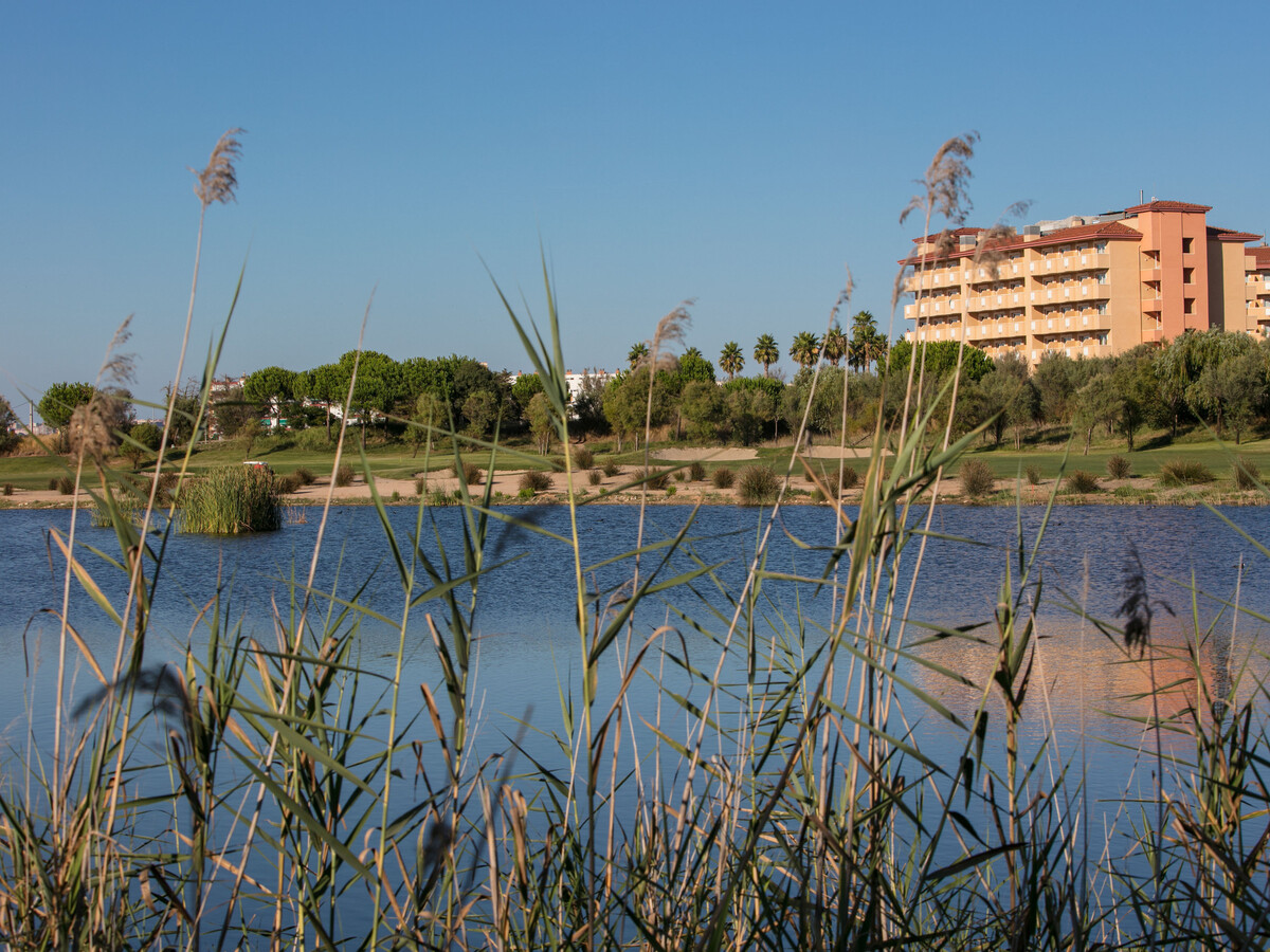Appartement 6 pers. à 50 m de la plage, La Pineda - Photo 19