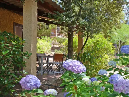 Studio Bungalow Climatisé à Porto-Vecchio : photo 2