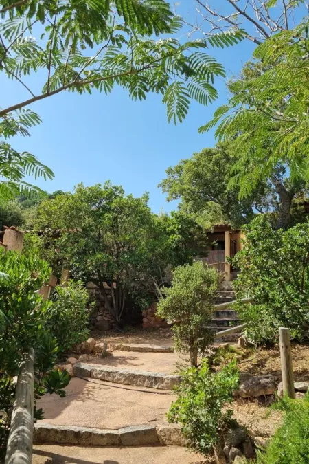 Studio Bungalow Climatisé à Porto-Vecchio : photo 5