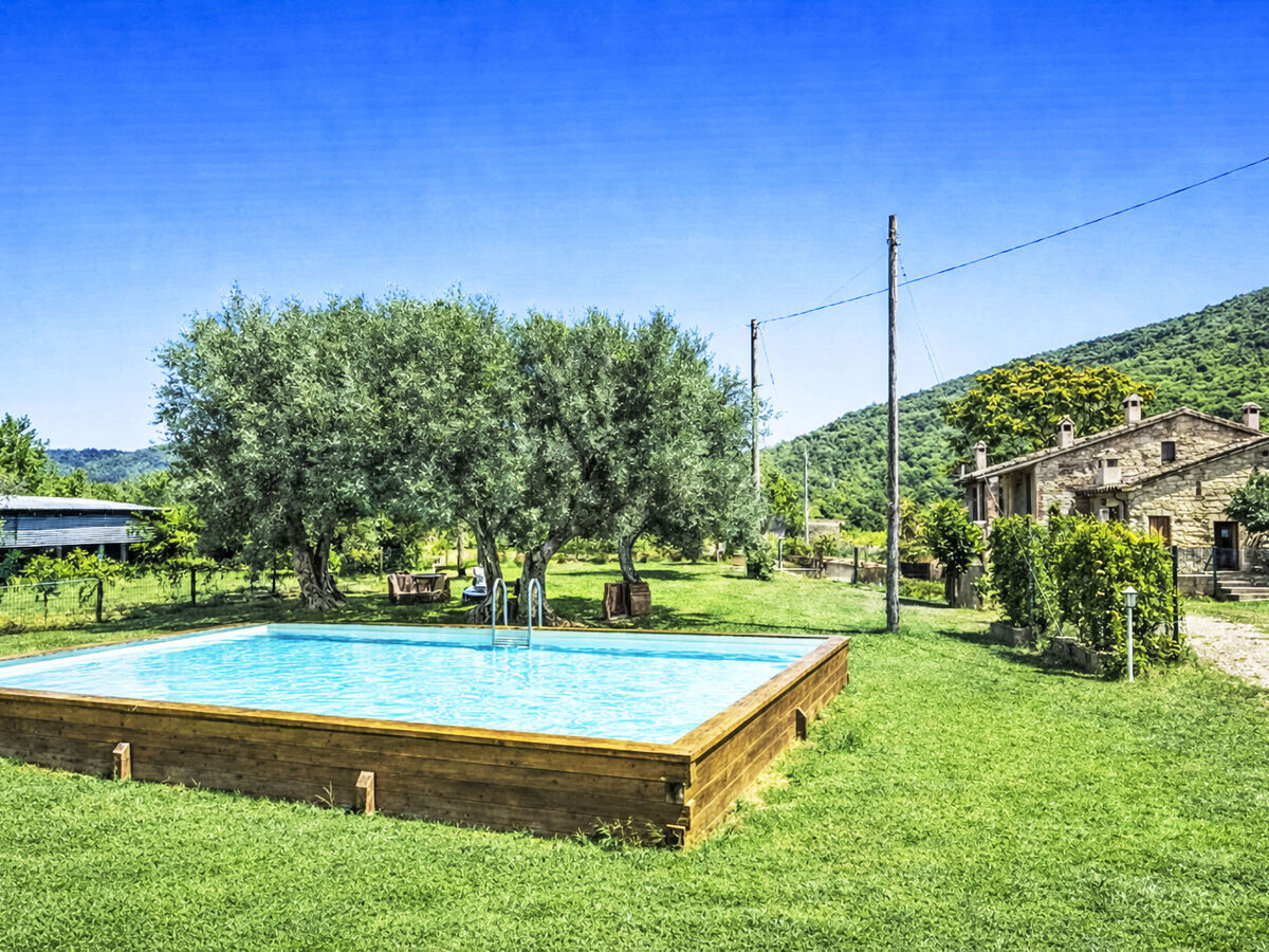 La Collina degli Ulivi, gîte 10 pers. avec piscine - Photo 4