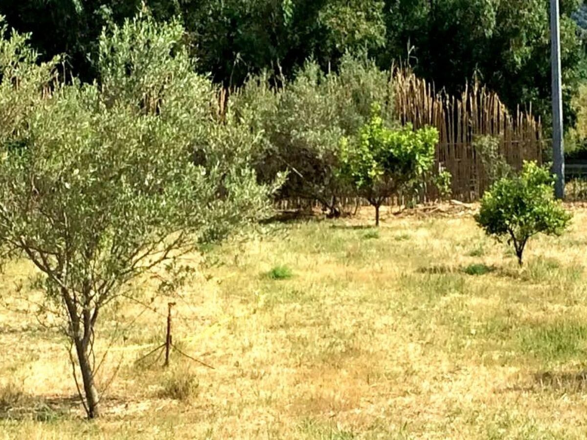 Maison moderne rénovée, 4,5 ha, vue montagne à Agrustos - Photo 7