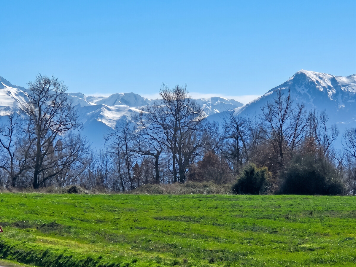 Maison à Cardeilhac, vue sur les Pyrénées, jardin clôturé - Photo 2