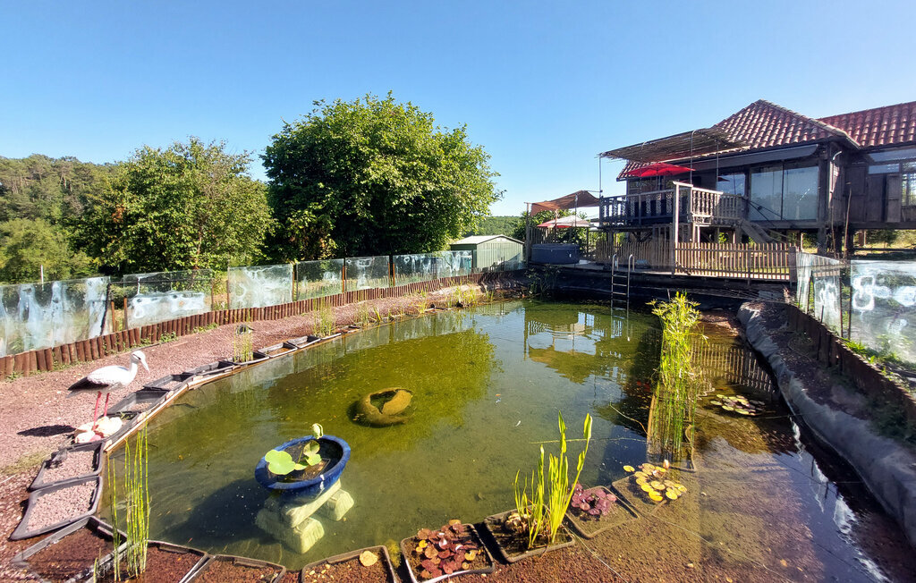 Maison sur pilotis avec piscine naturelle à Saint-Sulpice-de-Rouma - Photo 16