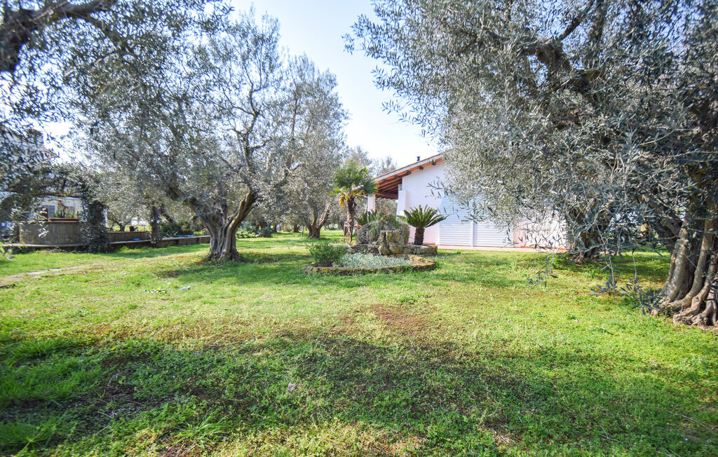 Appartement 3 personnes à Pescia Romana - Photo 14