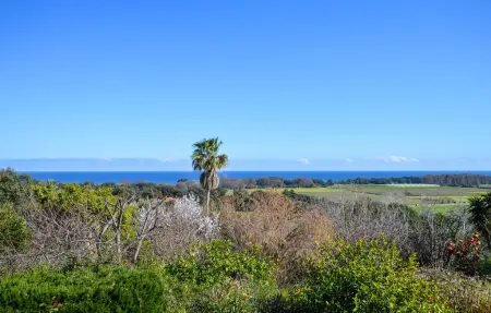 Villa vue mer à San Giuliano, 6 personnes, jardin 2500 m² : photo 14