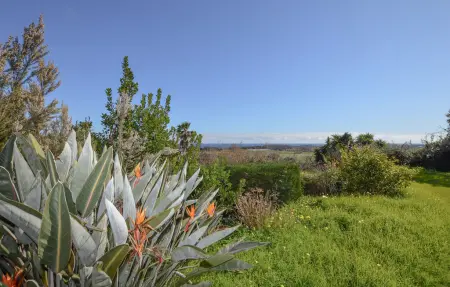 Villa vue mer à San Giuliano, 6 personnes, jardin 2500 m² : photo 15