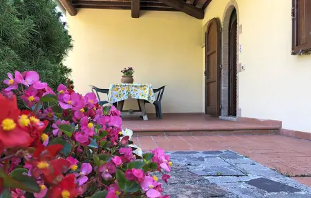 Appartement 6 personnes à Montecatini Val di Cecina : photo 25