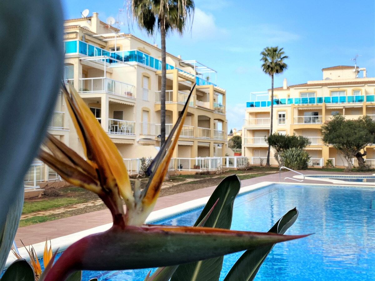 Appartement 2 ch, terrasse et piscine à Denia - Photo 19