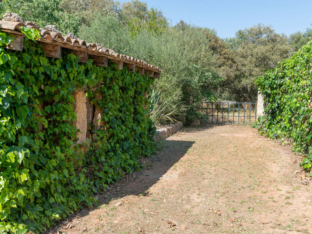 Gîte 12 pers. avec piscine privée 8x3,5m à Inca - Photo 22