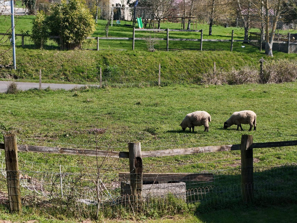 Gîte 6 pers. au cœur de l'Orne, près Haras du Pin - Photo 23