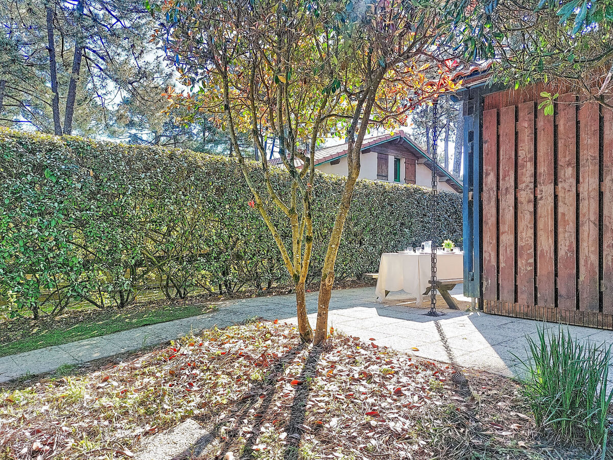Les Jardins de Lacanau – Maison 5 pers., 100 m² de jardin - Photo 26