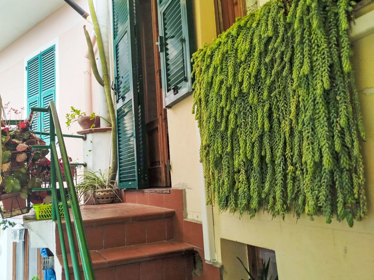 Appartement Stefano à Terzorio, vue mer sur 3 niveaux - Photo 1