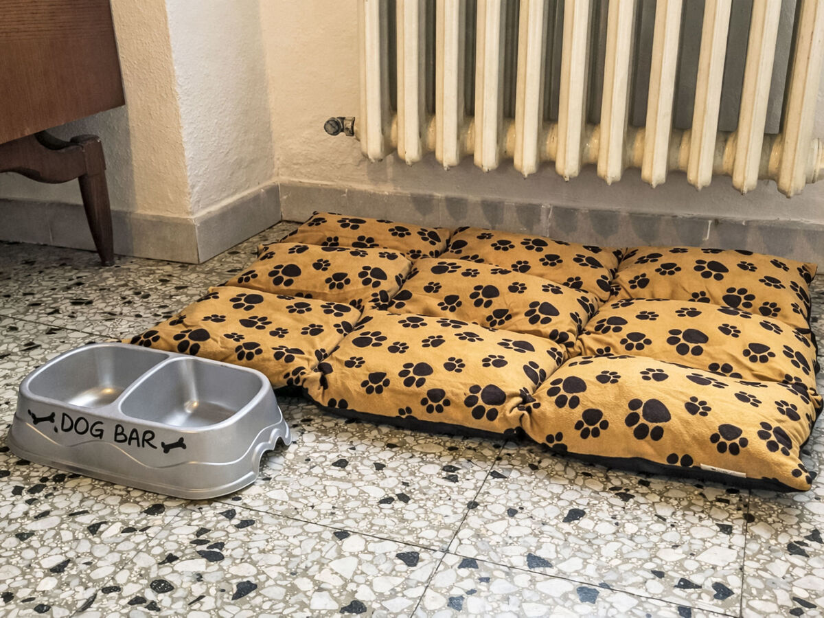 Casa Beppina Cortona – Appartement 2 pièces - Photo 16