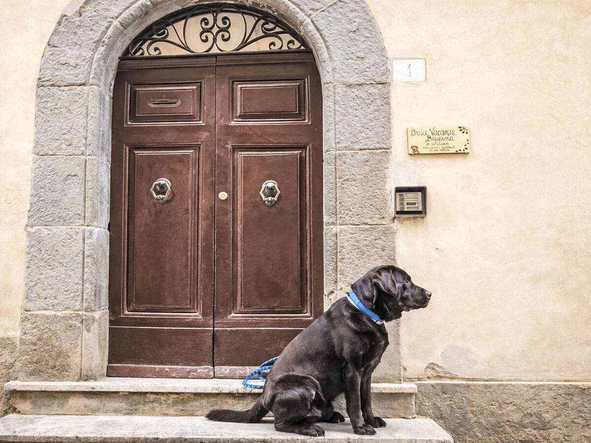 Casa Beppina Cortona – Appartement 2 pièces - Photo 17