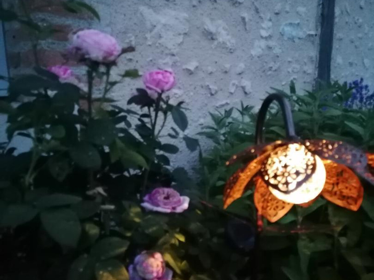 Gîte en bord de Loire à Saint-Dyé, 2 personnes - Photo 25