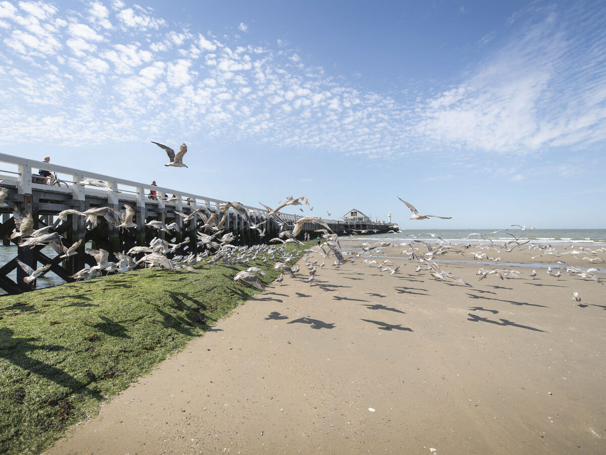 Wanderlust Belgium with parking, maison 8 pers. Blankenberge - Photo 15