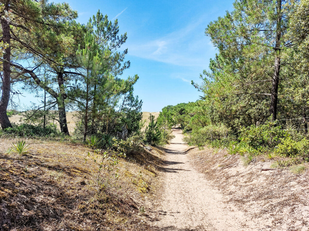 Maison Les Yuccas – 350 m plage, forêt à 10 m, Barbâtre - Photo 17