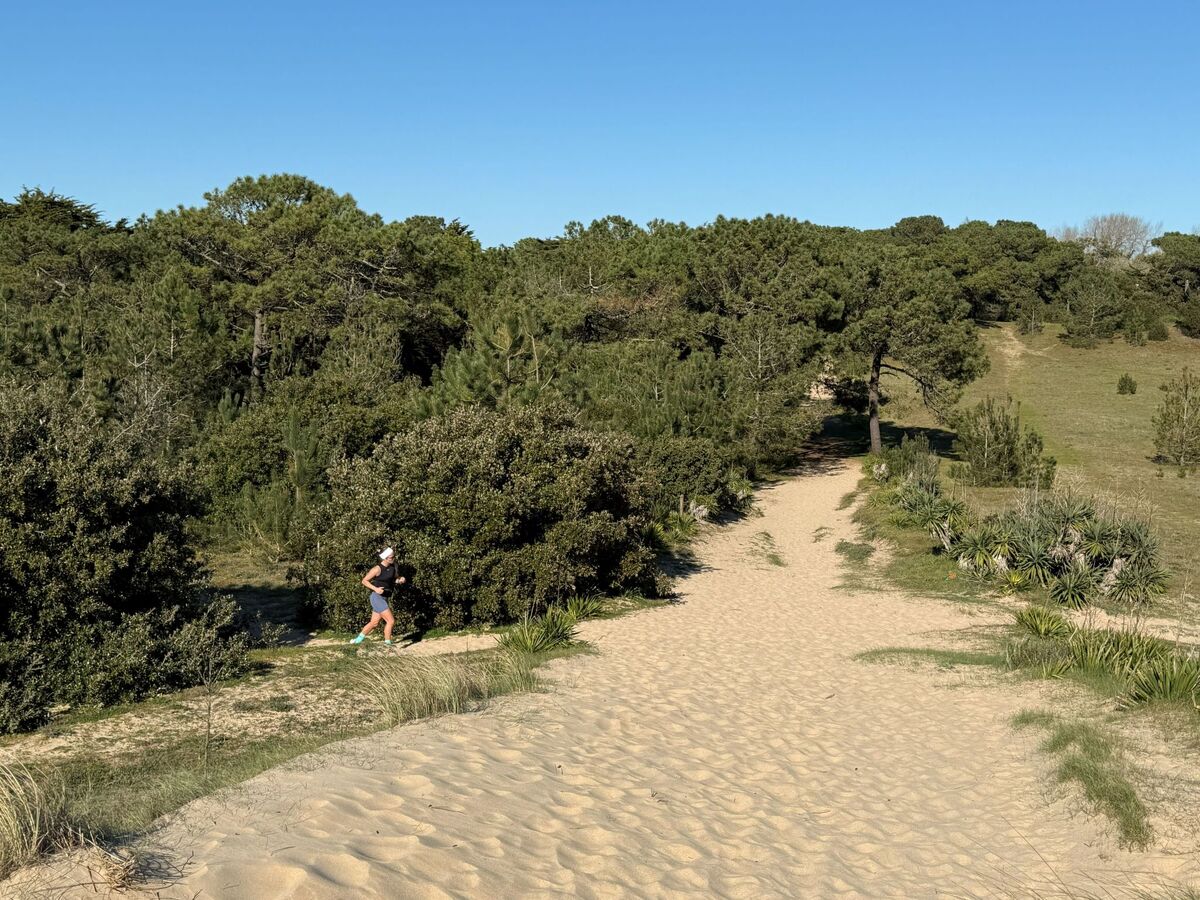 Maison Les Yuccas – 350 m plage, forêt à 10 m, Barbâtre - Photo 18
