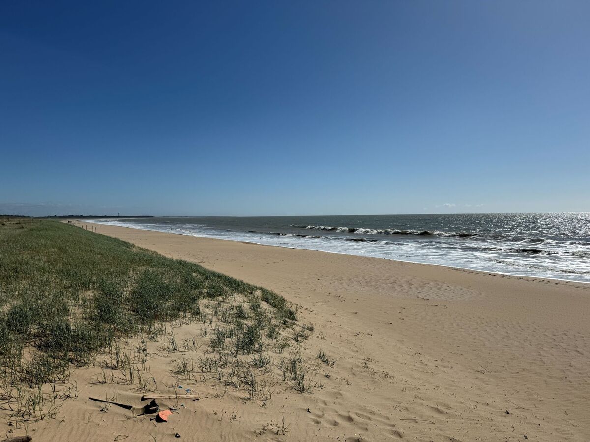 Maison Les Yuccas – 350 m plage, forêt à 10 m, Barbâtre - Photo 19