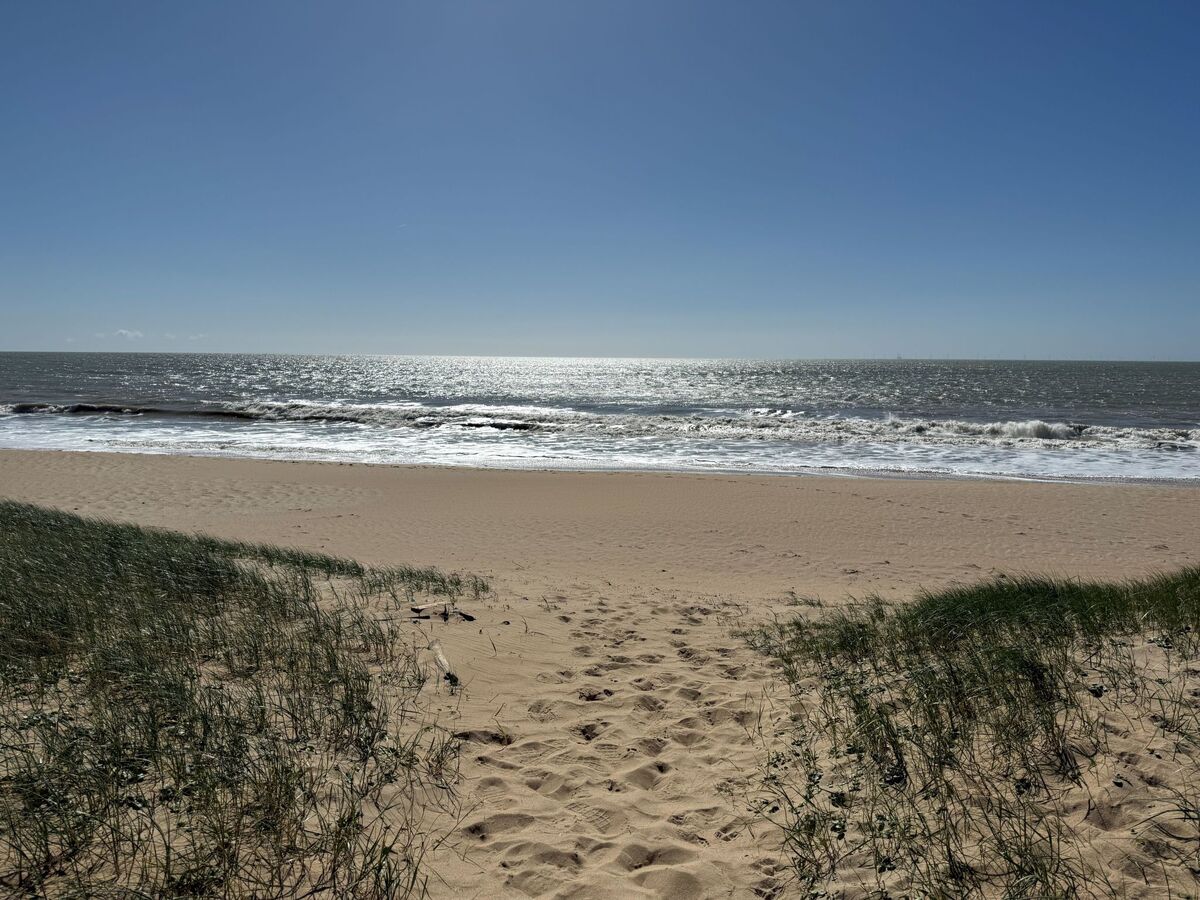 Maison Les Yuccas – 350 m plage, forêt à 10 m, Barbâtre - Photo 20