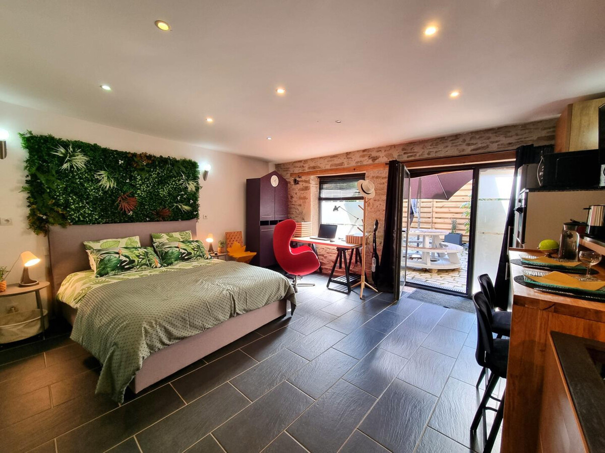 Studio rénové 30 m² avec cour privée à Tartaras - Photo 1